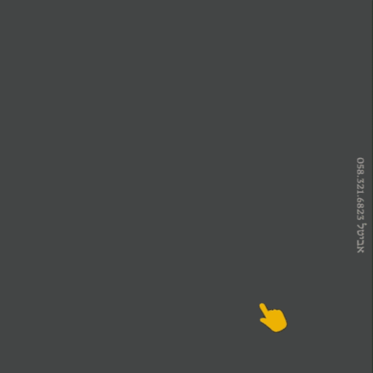 אביטל הלוי 0583216823 (1)