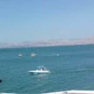 תמונת פרופיל של רחל אביטן