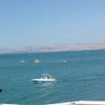 תמונת פרופיל של רחל אביטן