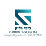 תמונת פרופיל של ציפי גליק