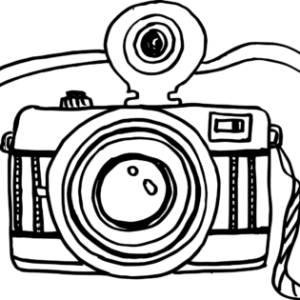 תמונת פרופיל של יעל יעל
