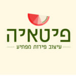 תמונת פרופיל של יעל ב. עיצובי פירות