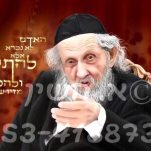 תמונת פרופיל של אהובי חשין- מאיירת דיגיטלית מקצועית