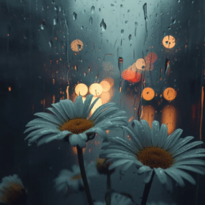 תמונת פרופיל של רחלי ו.