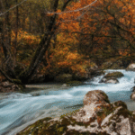 תמונת פרופיל של hodaya