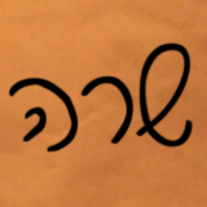 תמונת פרופיל של שרה כהן