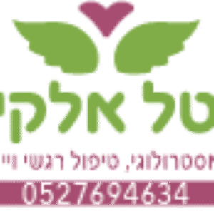 תמונת פרופיל של מיטל אלקיים