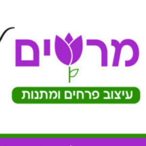 תמונת פרופיל של מרים קניגסבוך