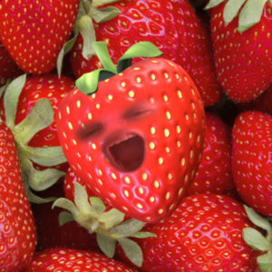 תמונת פרופיל של יהודית אחת