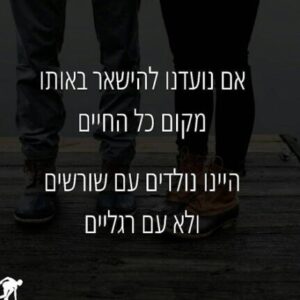 תמונת פרופיל של איידי --