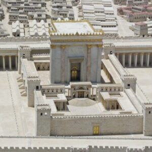 תמונת פרופיל של neomiben