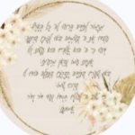 תמונת פרופיל של rachelberber