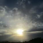 תמונת פרופיל של ללי גריינימן