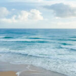 תמונת פרופיל של יהודית IT