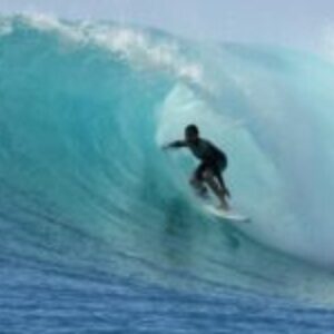 תמונת פרופיל של רבקה