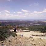 תמונת פרופיל של שושי ש