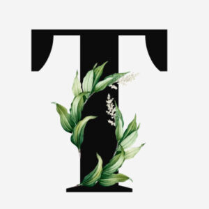 תמונת פרופיל של תמי פירר