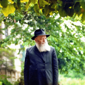 תמונת פרופיל של (: Orarut Michaelshvili