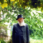 תמונת פרופיל של (: Orarut Michaelshvili