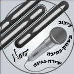 תמונת פרופיל של נועה גרינברג