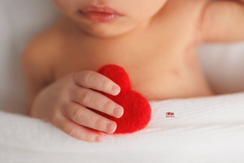 0504130218 אחוה פלוטקין (12)