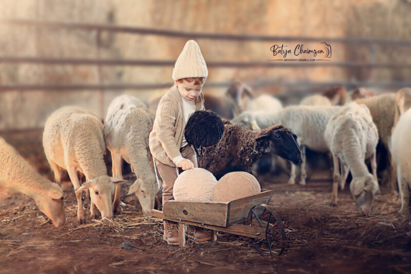 בתיה חיימזון (7) copy 2