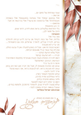 לשליחה במייל