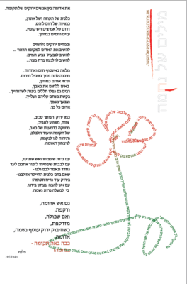 כלנית ירוקה (2)