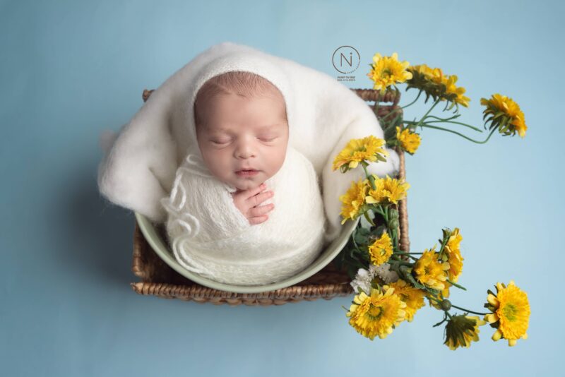 צילום נעמה נייהוז 0504160055 (9) (1)