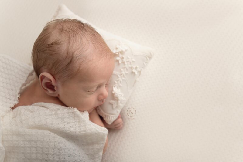 צילום נעמה נייהוז 0504160055 (19)