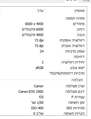 פרטים של תמונה מקורית