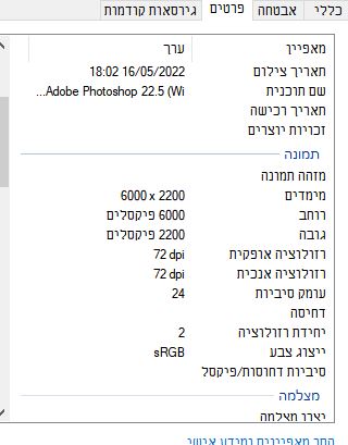 פרטים של דף אלבום- כמה תמונות יחד עם עריכה