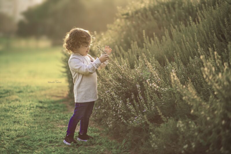 צילום יהודית סמט (14)