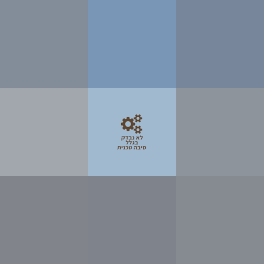 עותק של נהניתם