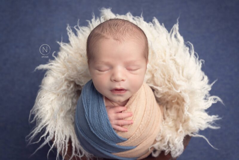 צילום נעמה נייהוז 0504160055 (1) (1)