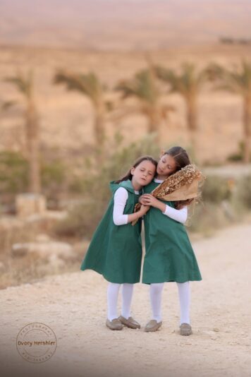 דבורי הרשלר 0527143082 מוקטן (4)