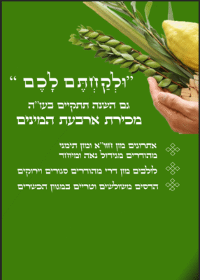 צילום מסך 2025-09-25 214634