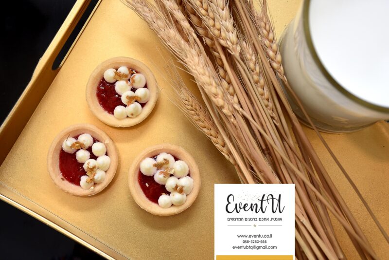 DSC_0939מעובד copy (Copy)