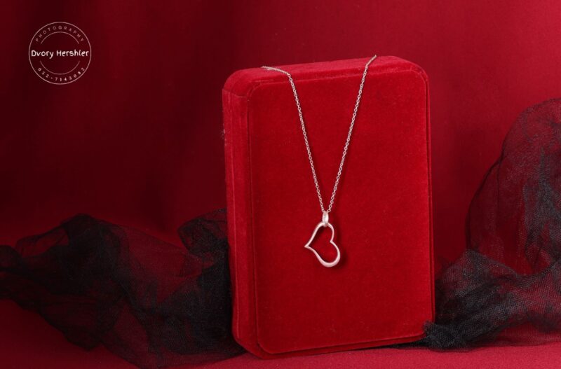 דבורי הרשלר 0527143082 מוקטן (5)