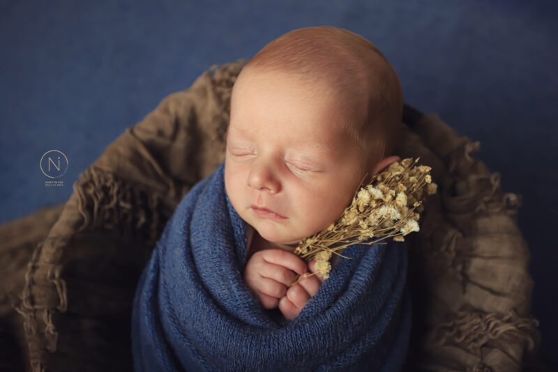 צילום נעמה נייהוז 0504160055 (2)