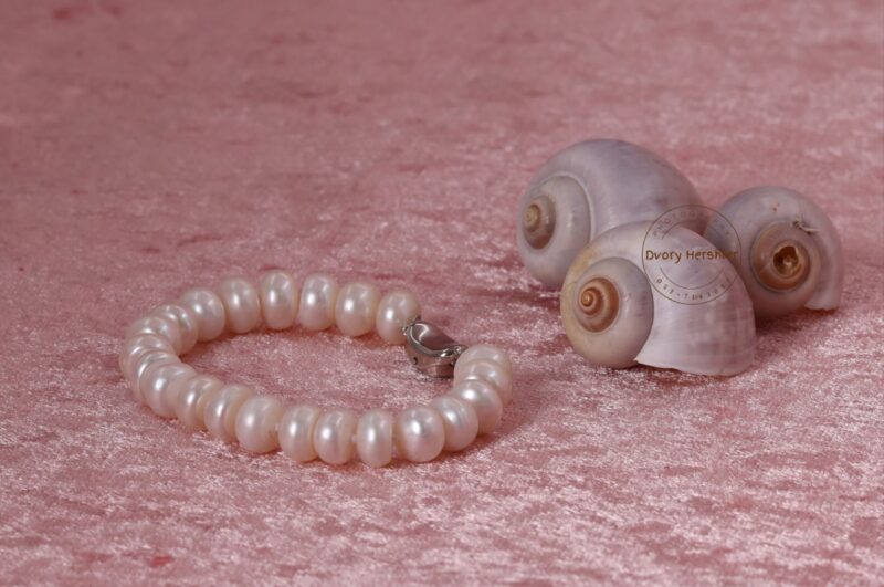 דבורי הרשלר 0527143082 מוקטן (4)