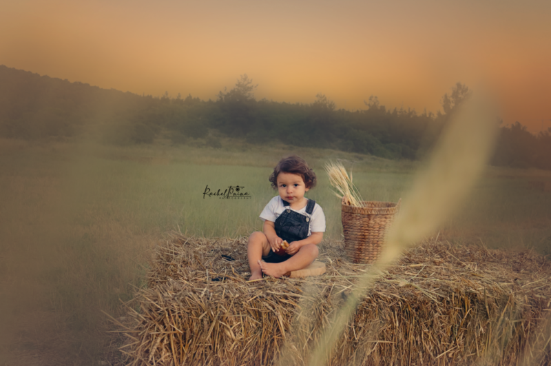 צילום מסך 2023-05-22 003817