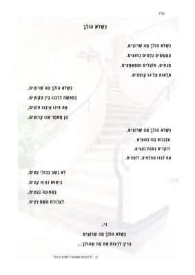 כשלא הולך.pdf