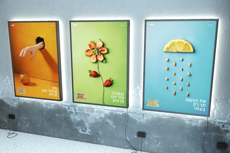 מוקאפ-טו-בשבט-שרה-ארוש-ריקי-פרג'יאן