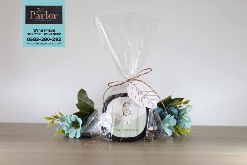 מטען נייד דגם מונוגרם1