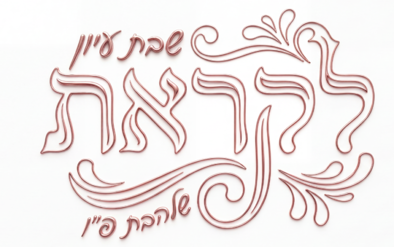 צילום מסך 2026-01-11 094102