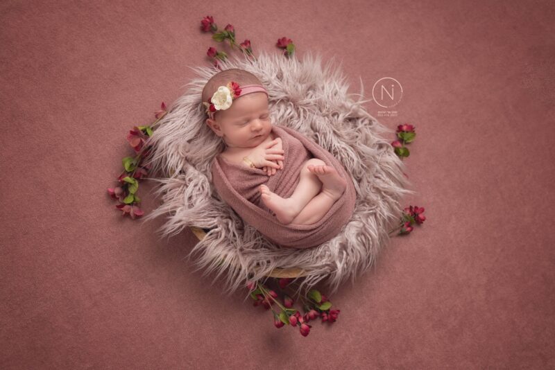 צילום נעמה נייהוז 0504160055 (45)