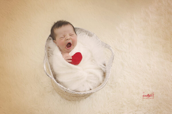 IMG_3594(מוקטן)