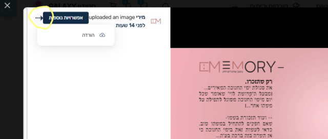 צילום מסך 2025-12-15 135054