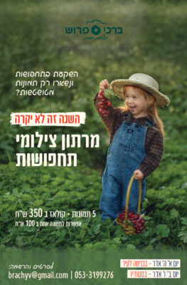 ברכי פרוש רבע-01 (4)